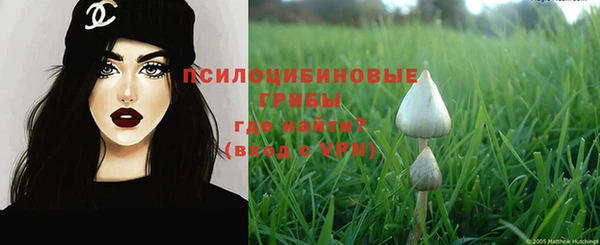 МДПВ Абаза