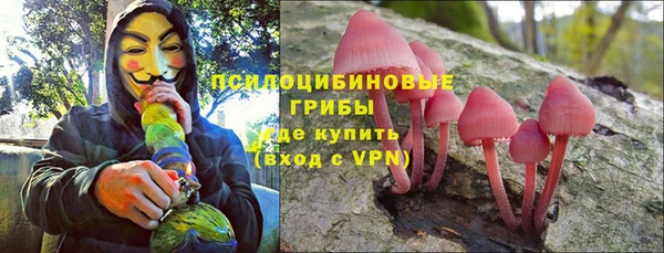 МДПВ Абаза