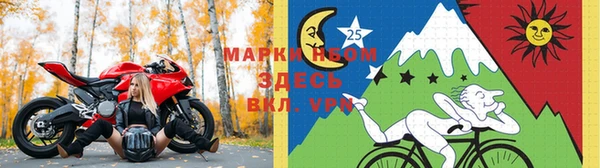 прущие крисы Абинск